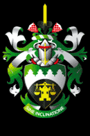 South African Institute of Valuers